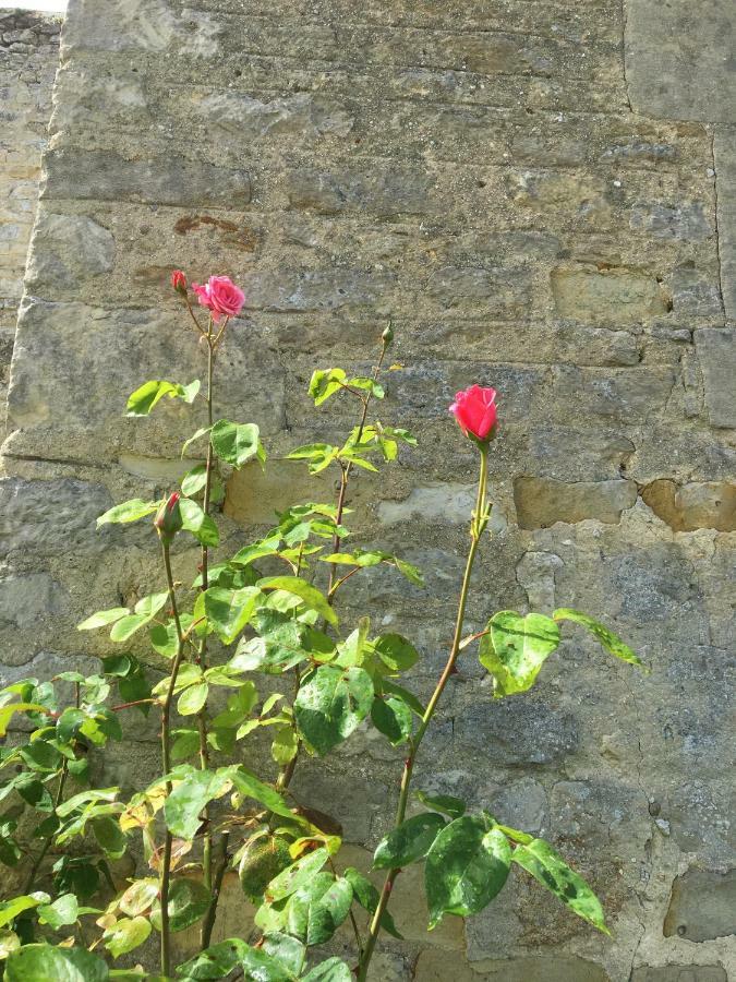 Bed and Breakfast La Pomme De Nuit Bayeux Exterior foto
